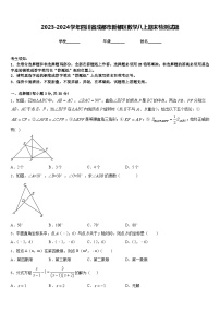 2023-2024学年四川省成都市新都区数学八上期末检测试题含答案