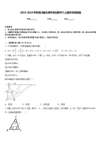 2023-2024学年四川省达州市名校数学八上期末检测试题含答案