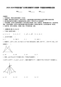 2023-2024学年四川省广元市青川县数学八年级第一学期期末调研模拟试题含答案