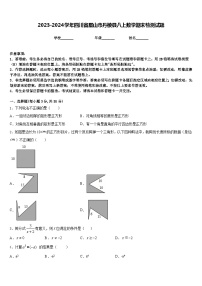 2023-2024学年四川省眉山市丹棱县八上数学期末检测试题含答案