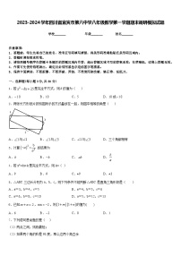 2023-2024学年四川省宜宾市第八中学八年级数学第一学期期末调研模拟试题含答案