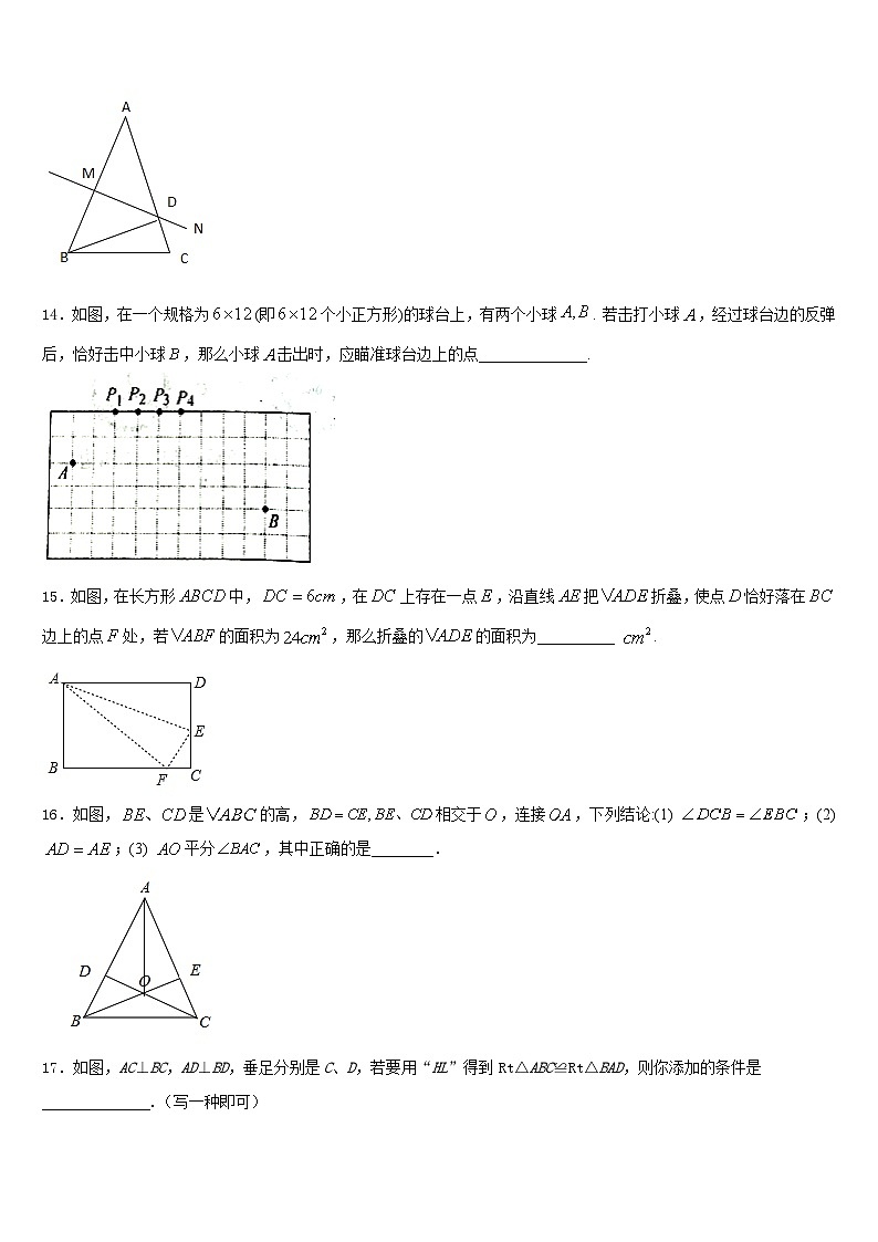 2023-2024学年四川省绵阳宜溪中学心学校八年级数学第一学期期末学业质量监测模拟试题含答案第3页
