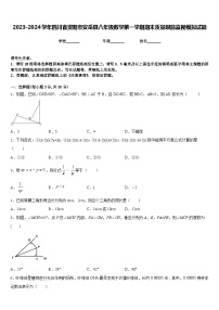 2023-2024学年四川省资阳市安岳县八年级数学第一学期期末质量跟踪监视模拟试题含答案