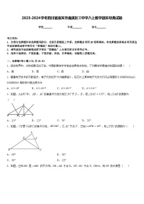 2023-2024学年四川省宜宾市南溪区三中学八上数学期末经典试题含答案