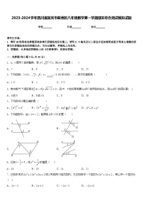 2023-2024学年四川省宜宾市叙州区八年级数学第一学期期末综合测试模拟试题含答案