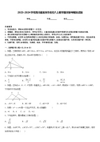 2023-2024学年四川省宜宾市名校八上数学期末联考模拟试题含答案