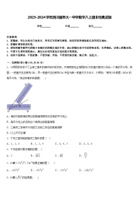 2023-2024学年四川省师大一中学数学八上期末经典试题含答案