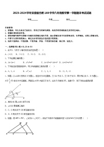 2023-2024学年安徽省合肥168中学八年级数学第一学期期末考试试题含答案