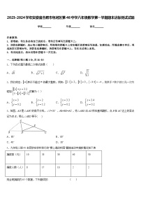 2023-2024学年安徽省合肥市包河区第48中学八年级数学第一学期期末达标测试试题含答案