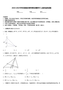 2023-2024学年安徽省合肥市肥东县数学八上期末监测试题含答案