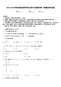 2023-2024学年安徽省合肥中学科大附中八年级数学第一学期期末统考试题含答案