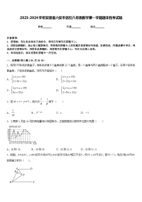 2023-2024学年安徽省六安市名校八年级数学第一学期期末统考试题含答案