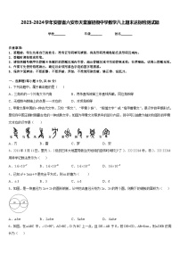 2023-2024学年安徽省六安市天堂寨初级中学数学八上期末达标检测试题含答案