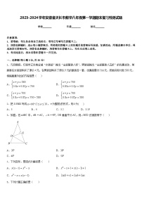 2023-2024学年安徽省天长市数学八年级第一学期期末复习检测试题含答案