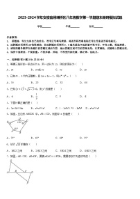 2023-2024学年安徽宿州埇桥区八年级数学第一学期期末调研模拟试题含答案