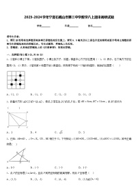 2023-2024学年宁夏石嘴山市第三中学数学八上期末调研试题含答案