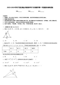 2023-2024学年宁夏石嘴山市星海中学八年级数学第一学期期末调研试题含答案