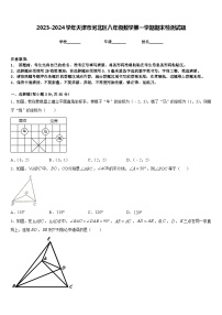 2023-2024学年天津市河北区八年级数学第一学期期末检测试题含答案