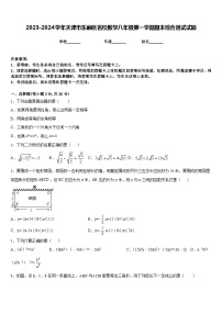 2023-2024学年天津市东丽区名校数学八年级第一学期期末综合测试试题含答案