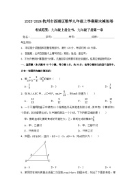 2023-2024杭州市西湖区数学九年级上学期期末模拟卷