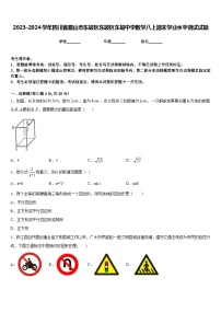 2023-2024学年四川省眉山市东坡区东坡区东坡中学数学八上期末学业水平测试试题含答案