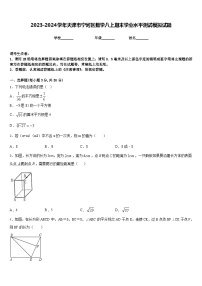 2023-2024学年天津市宁河区数学八上期末学业水平测试模拟试题含答案