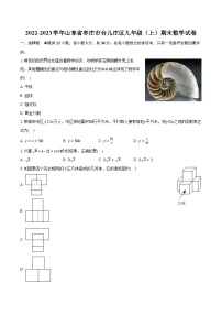 2022-2023学年山东省枣庄市台儿庄区九年级（上）期末数学试卷（含解析）