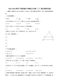 2023-2024学年广西贵港市平南县九年级（上）期中数学试卷（含解析）