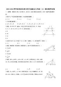 2023-2024学年吉林省长春市净月高新区九年级（上）期末数学试卷（含解析）