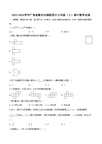 2023-2024学年广东省潮州市湘桥四中七年级（上）期中数学试卷（含解析）