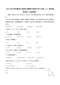 2023-2024学年黑龙江省绥化市肇东市四站中学八年级（上）期末数学试卷（五四学制）（含解析）