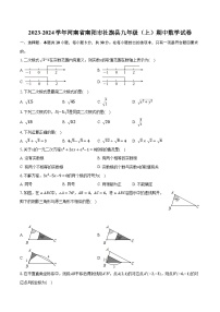 2023-2024学年河南省南阳市社旗县九年级（上）期中数学试卷（含解析）