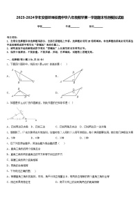 2023-2024学年安徽蚌埠铁路中学八年级数学第一学期期末检测模拟试题含答案