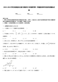 2023-2024学年安徽省安庆望江县联考八年级数学第一学期期末教学质量检测模拟试题含答案