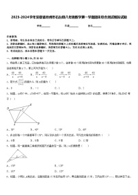 2023-2024学年安徽省池州市石台县八年级数学第一学期期末综合测试模拟试题含答案