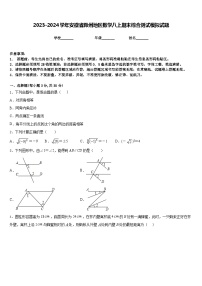 2023-2024学年安徽省滁州地区数学八上期末综合测试模拟试题含答案