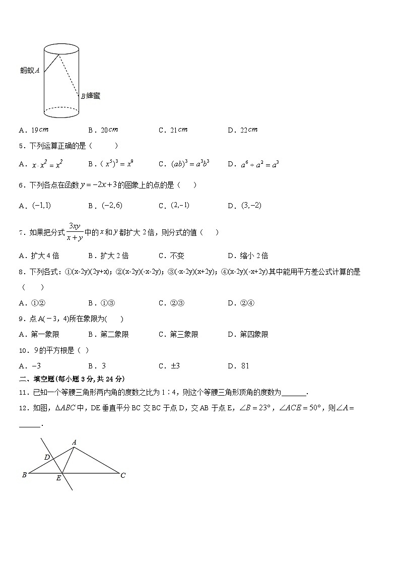 2023-2024学年安徽省滁州地区数学八上期末综合测试模拟试题含答案02