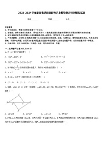 2023-2024学年安徽省枞阳县联考八上数学期末检测模拟试题含答案