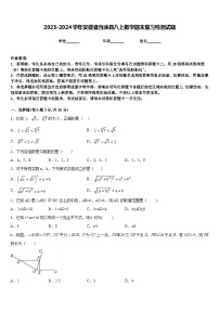 2023-2024学年安徽省当涂县八上数学期末复习检测试题含答案