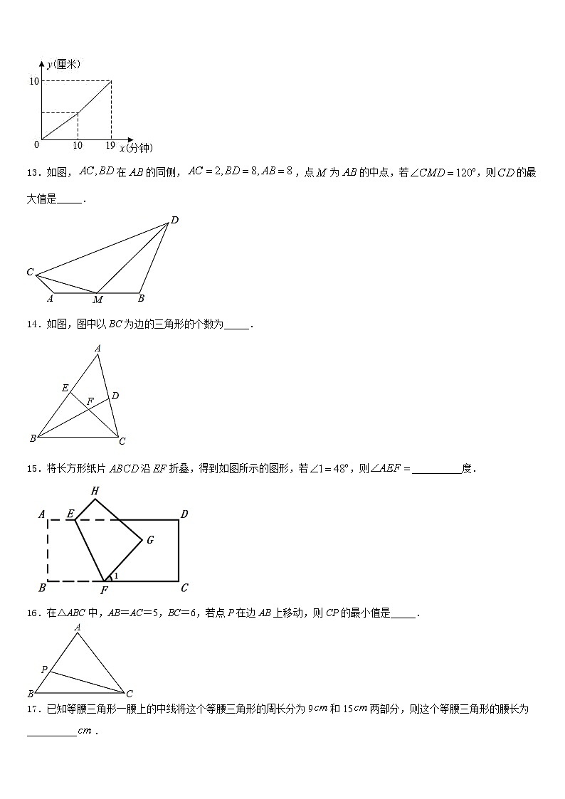2023-2024学年安徽省阜阳市颍上县八上数学期末质量跟踪监视试题含答案第3页