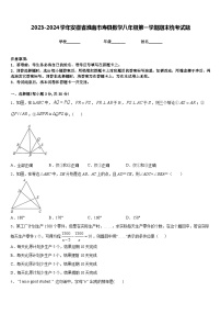 2023-2024学年安徽省淮南市寿县数学八年级第一学期期末统考试题含答案