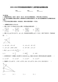 2023-2024学年安徽省来安县联考八上数学期末监测模拟试题含答案