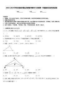 2023-2024学年安徽省马鞍山和县联考数学八年级第一学期期末质量检测试题含答案