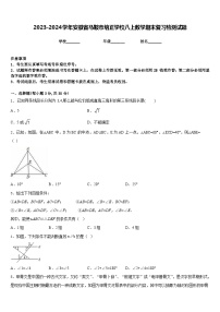 2023-2024学年安徽省马鞍市培正学校八上数学期末复习检测试题含答案