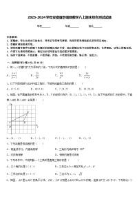 2023-2024学年安徽省舒城县数学八上期末综合测试试题含答案