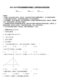 2023-2024学年安徽省铜陵市枞阳县八上数学期末达标测试试题含答案