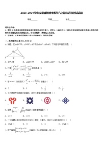 2023-2024学年安徽省铜陵市数学八上期末达标测试试题含答案