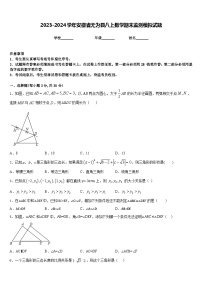 2023-2024学年安徽省无为县八上数学期末监测模拟试题含答案