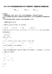 2023-2024学年安徽省宿州市第九中学八年级数学第一学期期末复习检测模拟试题含答案