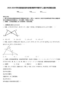 2023-2024学年安徽省宣城市宣州区狸桥中学数学八上期末考试模拟试题含答案